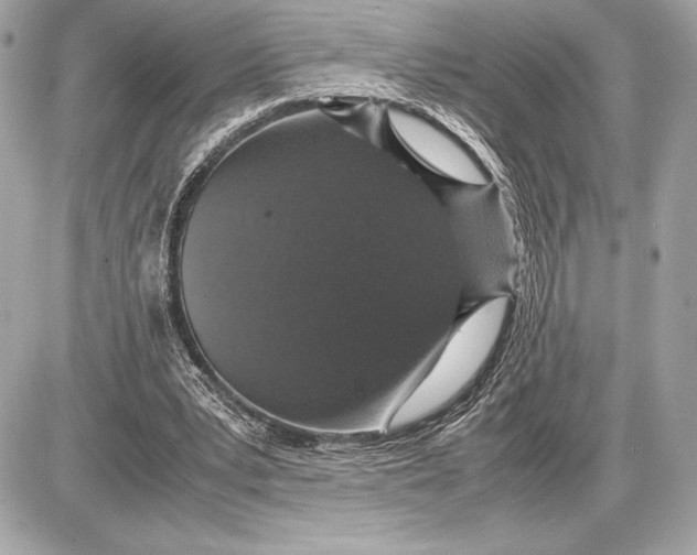 X0000085840391200704091729