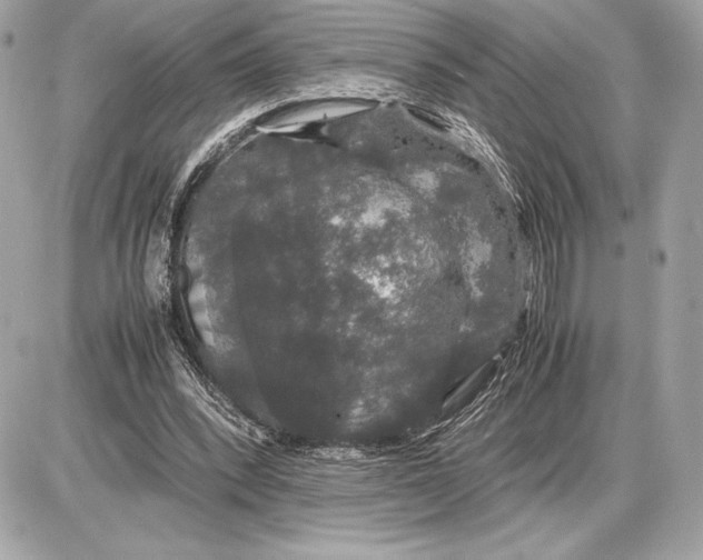 X0000085840392200704091729