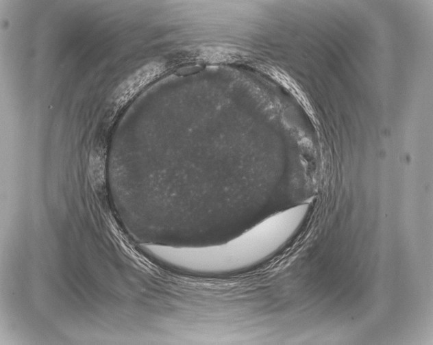 X0000085840393200704091729