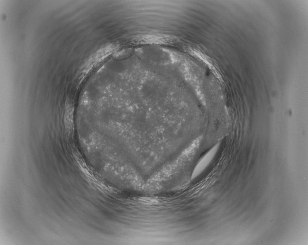 X0000085840394200704091729