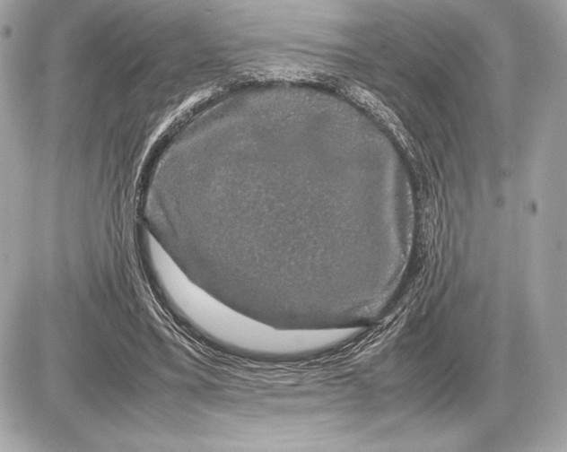 X0000085840395200704091729