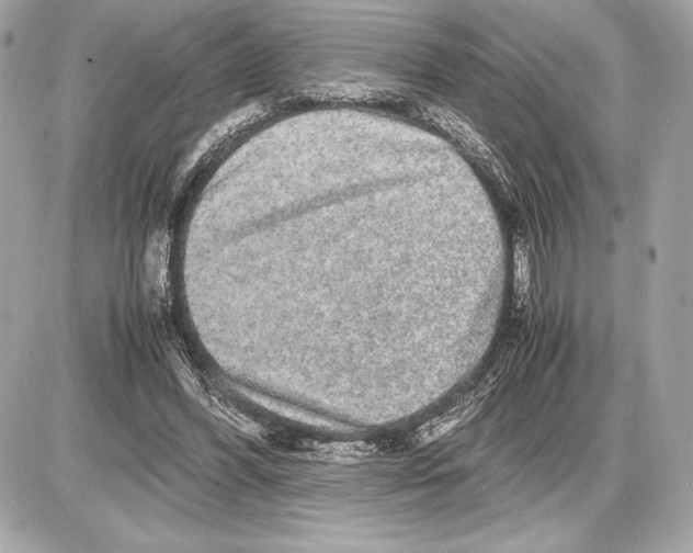 X0000085840396200704091729