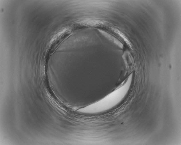 X0000085840399200704091729