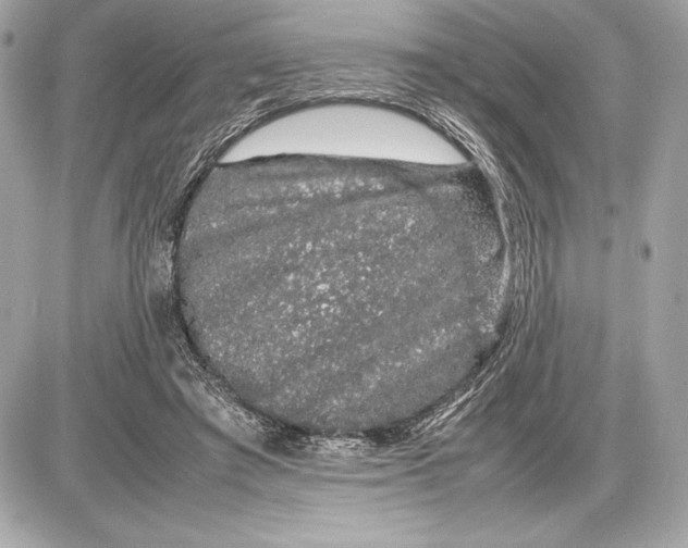 X0000085840401200704091729