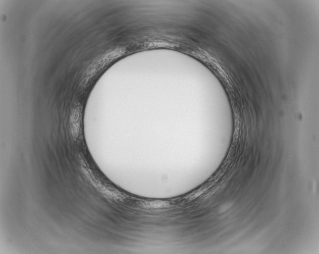 X0000085840402200704091729