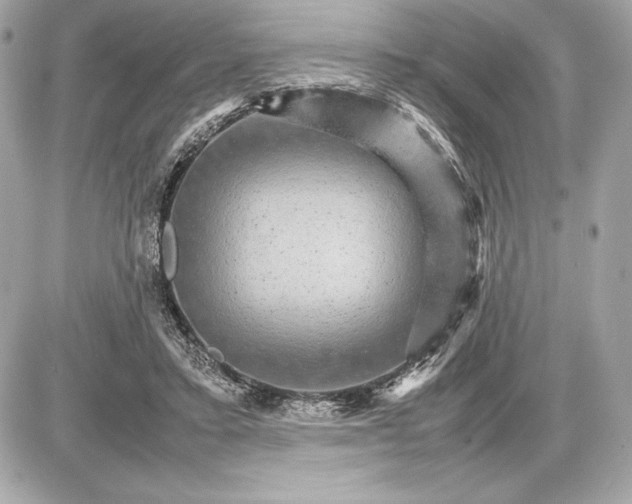 X0000085840403200704091728