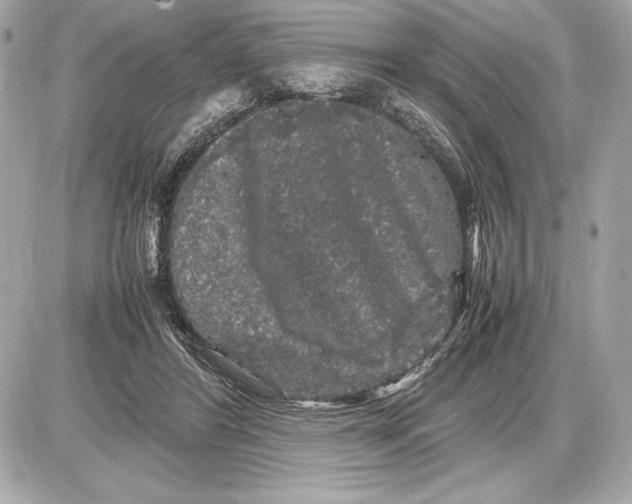 X0000085840404200704091728