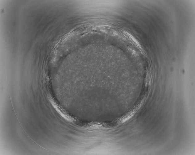 X0000085840405200704091728