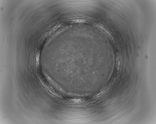 X0000085840406200704091728