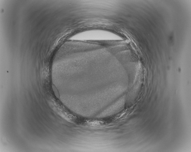 X0000085840407200704091728