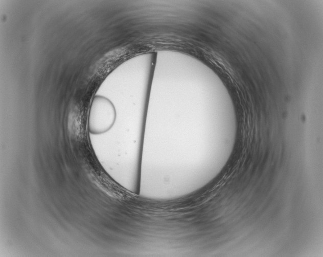 X0000085840408200704091728