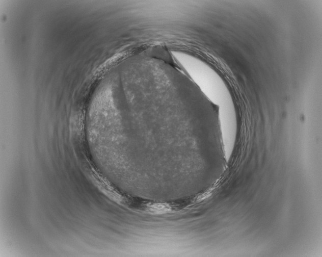 X0000085840409200704091728