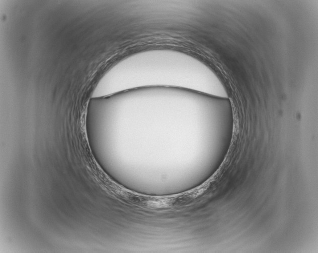 X0000085840411200704091728