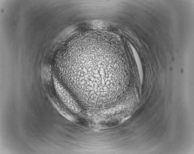 X0000085840413200704091728