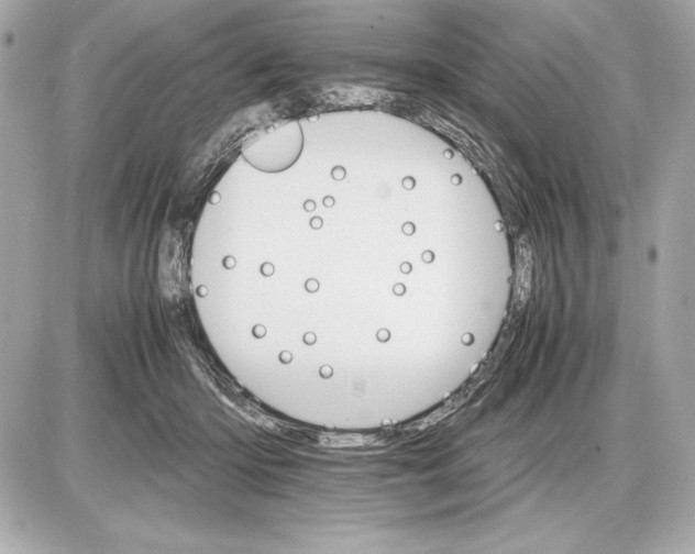 X0000085840414200704091728