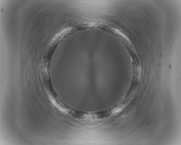 X0000085840415200704091728