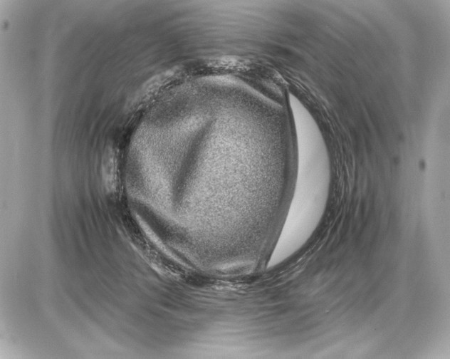 X0000085840416200704091728