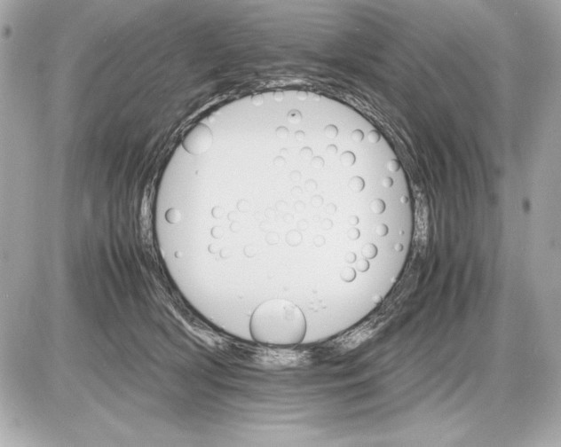 X0000085840418200704091728