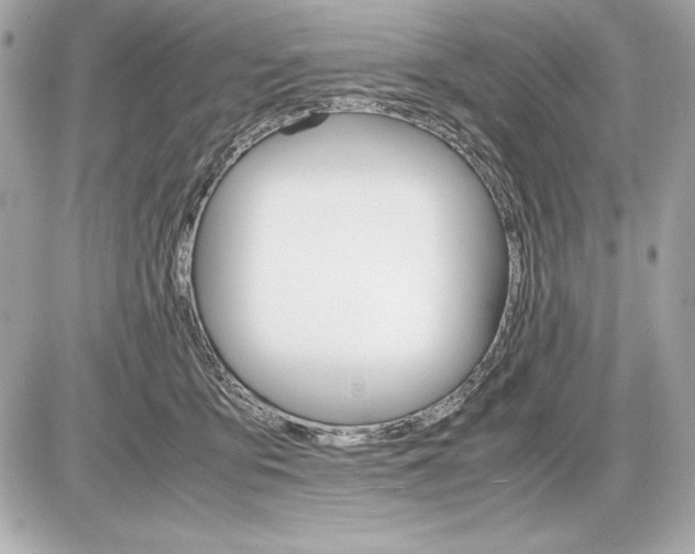 X0000085840419200704091728