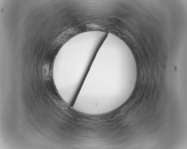 X0000085840420200704091728