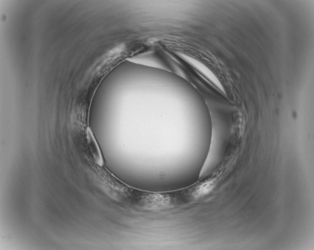 X0000085840421200704091728