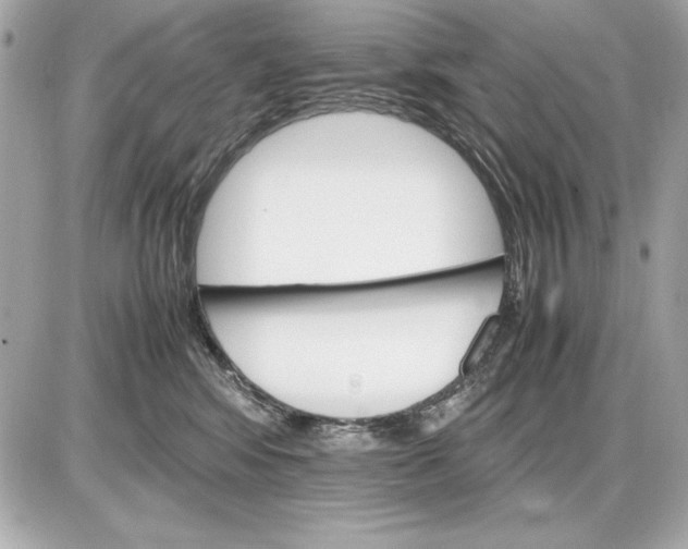 X0000085840424200704091728