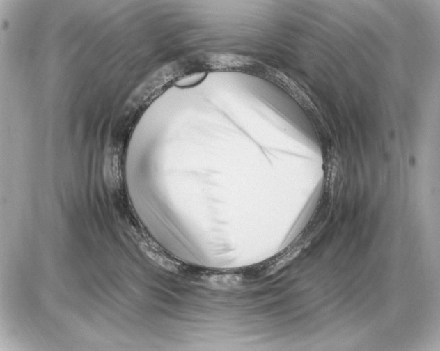 X0000085840426200704091728