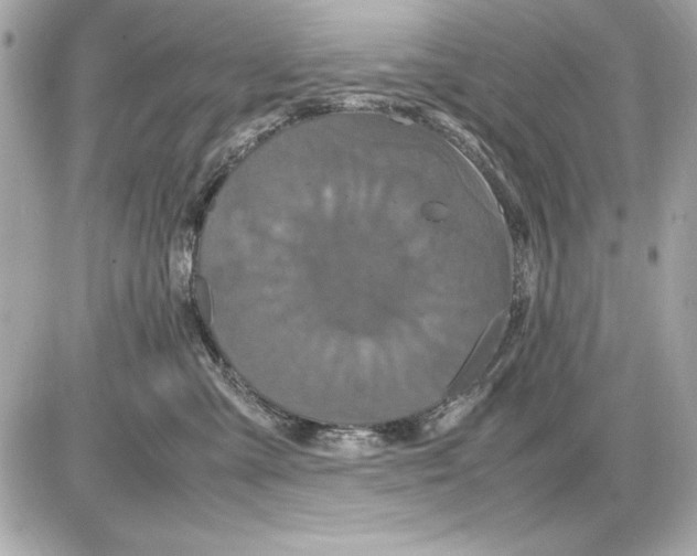 X0000085840427200704091728