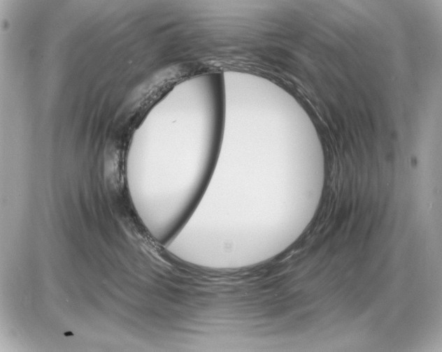 X0000085840428200704091728