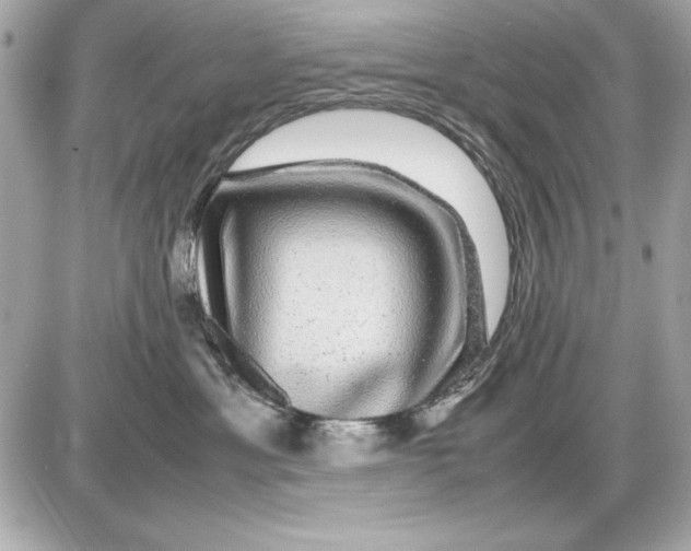 X0000085840429200704091728