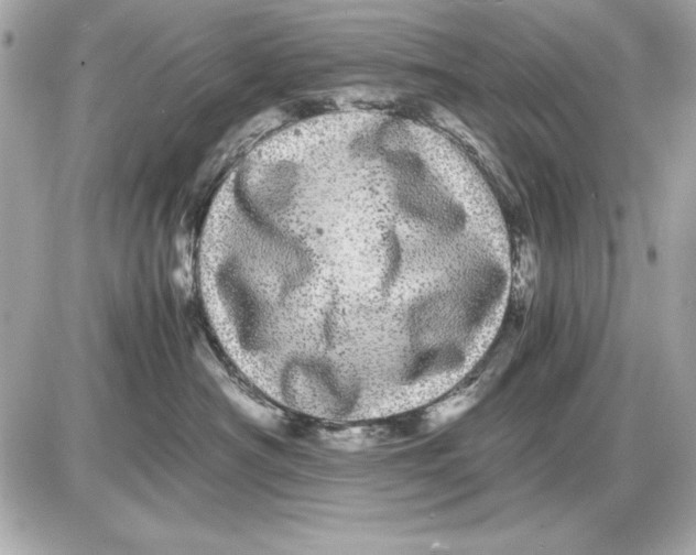 X0000085840430200704091728