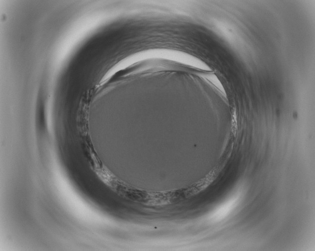 X0000085840431200704091728