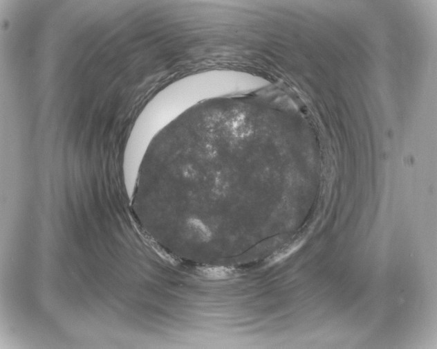 X0000085840432200704091728