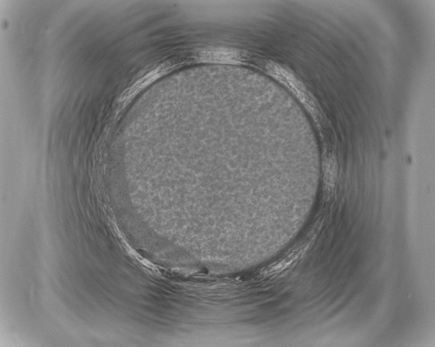 X0000085840433200704091727