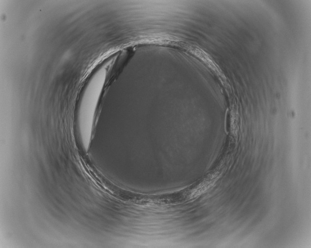 X0000085840434200704091727