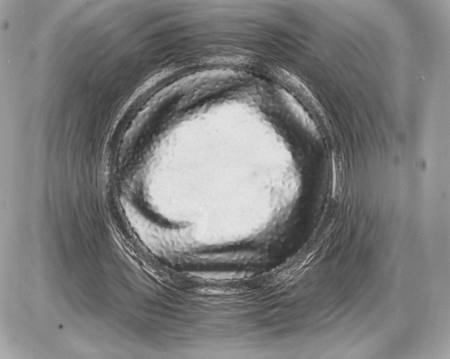 X0000085840435200704091727