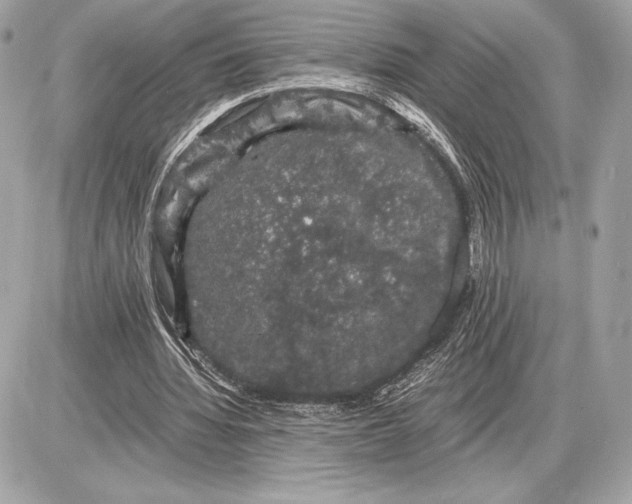 X0000085840436200704091727