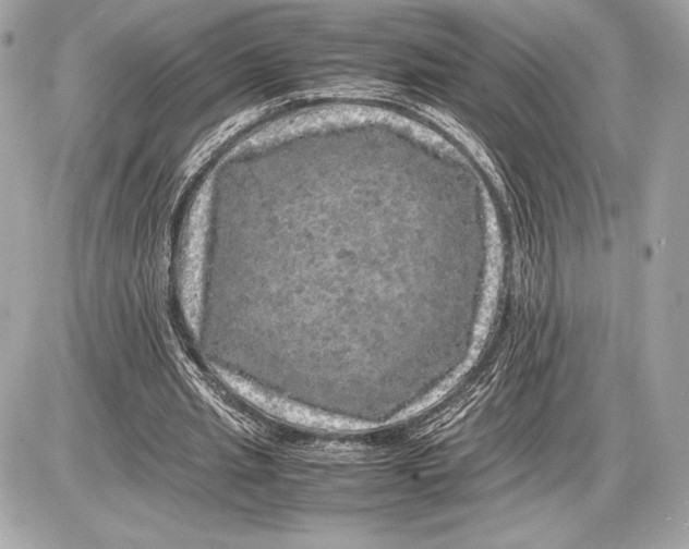 X0000085840437200704091727