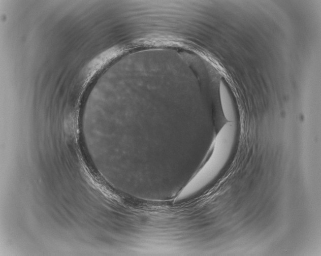 X0000085840438200704091727