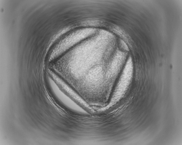 X0000085840439200704091727