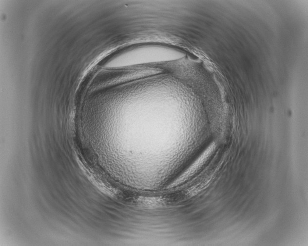 X0000085840440200704091727