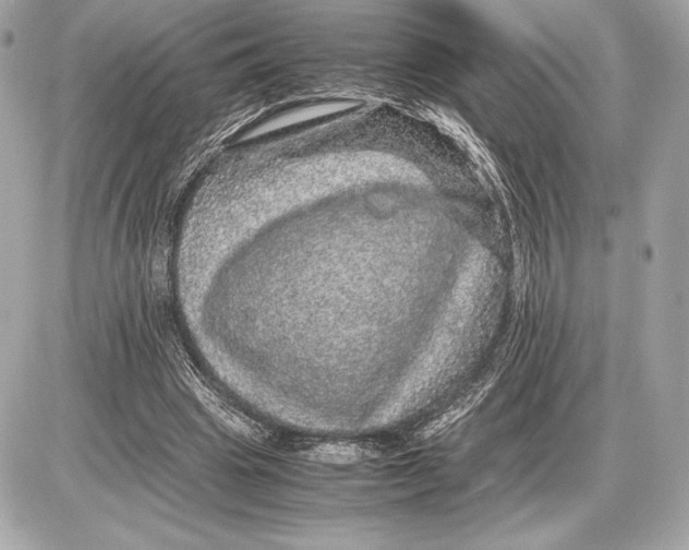 X0000085840441200704091727