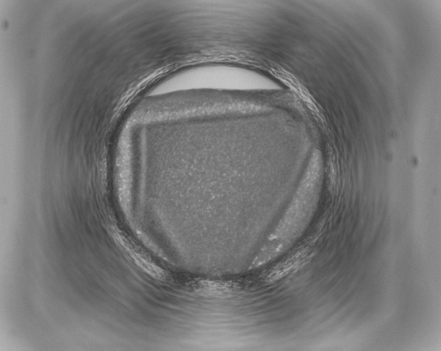 X0000085840442200704091727