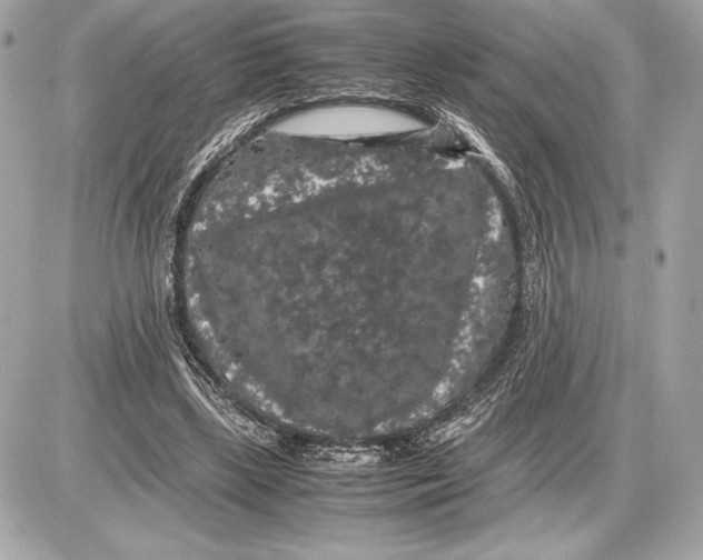 X0000085840443200704091727