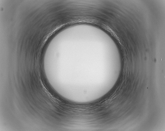 X0000085840444200704091727