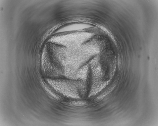 X0000085840445200704091727