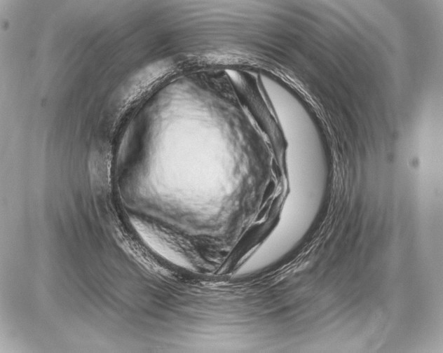 X0000085840446200704091727