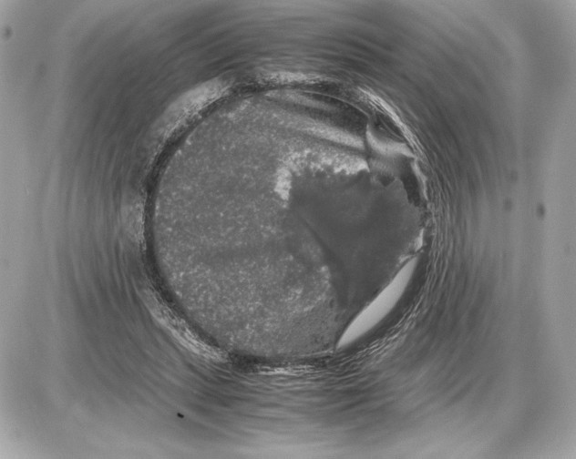 X0000085840447200704091727