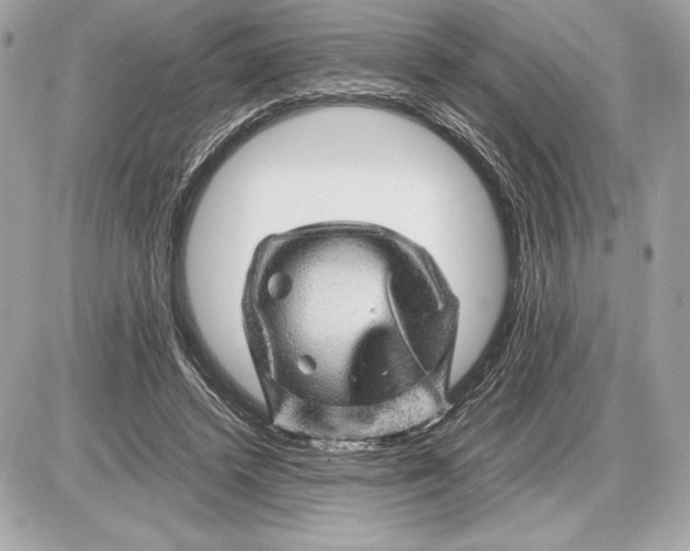 X0000085840448200704091727