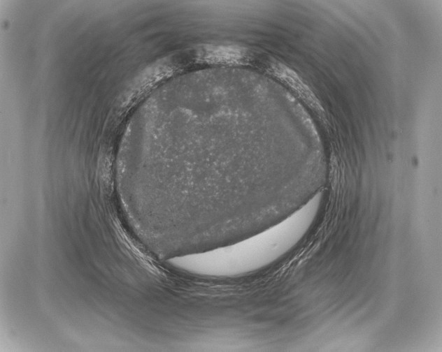 X0000085840449200704091727